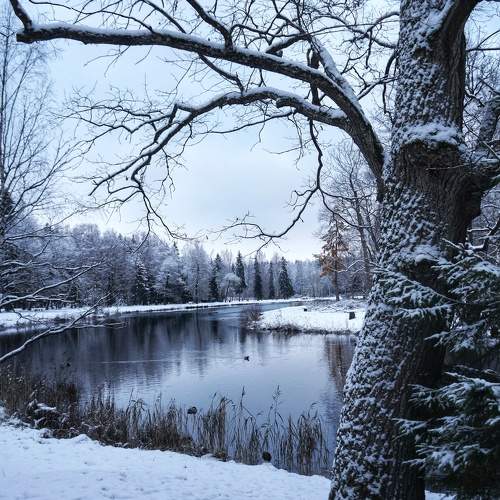 Photo #10011214