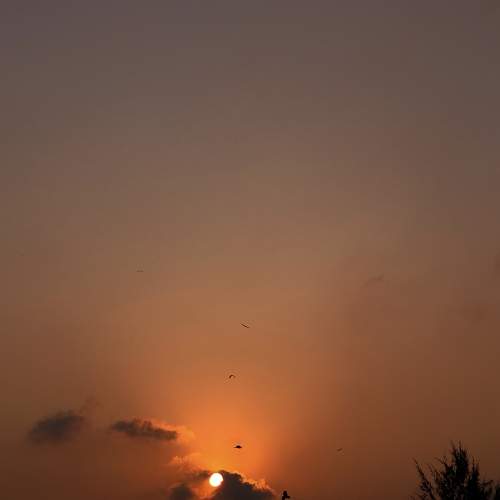 Sky