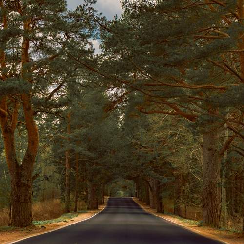 Photo #10011253