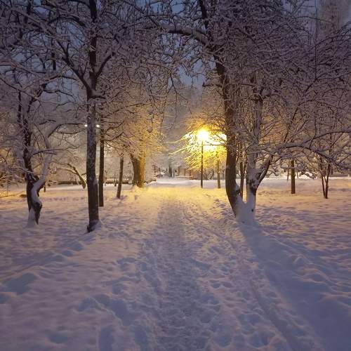 Photo #10011361