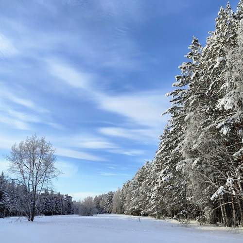 Photo #10011810