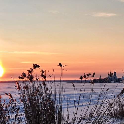 Photo #10011869