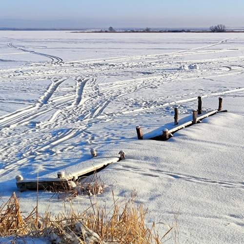 Photo #10011871