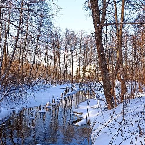 Photo #10012135
