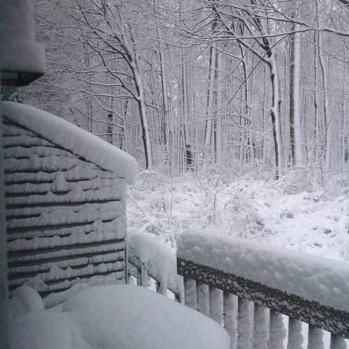Photo #10012342