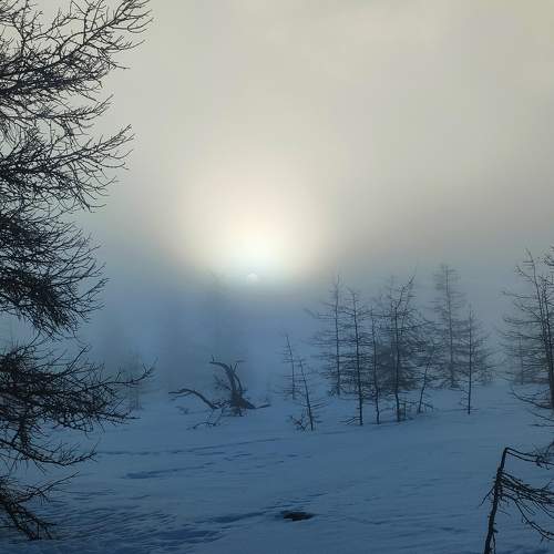 Photo #10012477