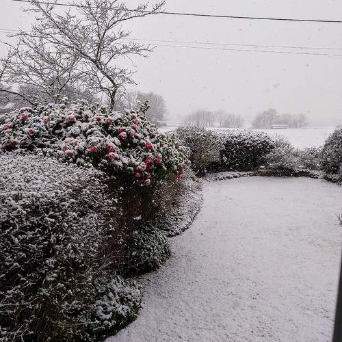Photo #10012486