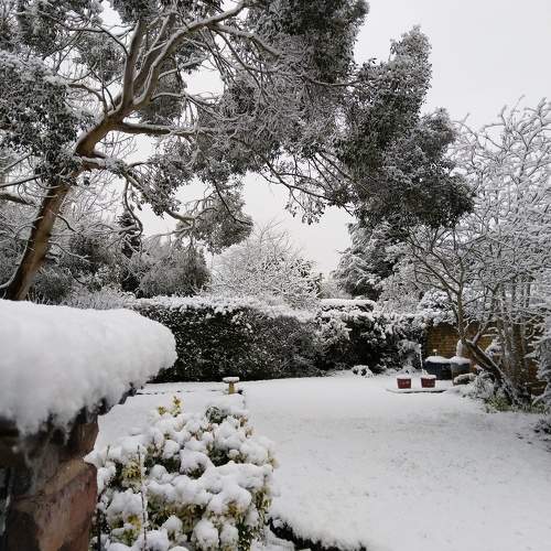 Photo #10012487