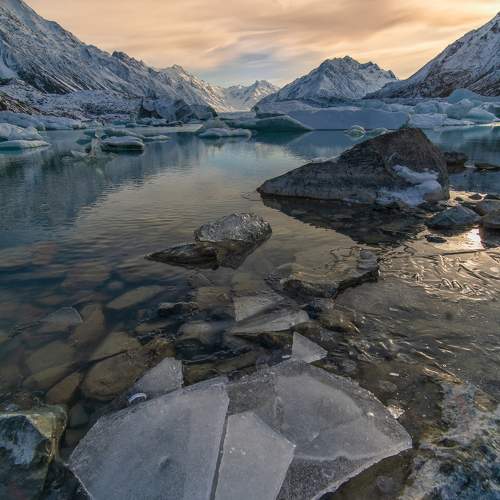 Photo #10012591