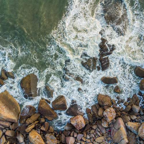 Photo #10012905