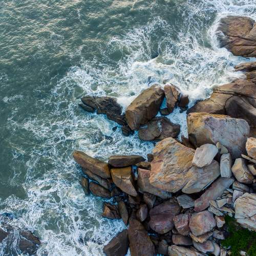 Photo #10012921