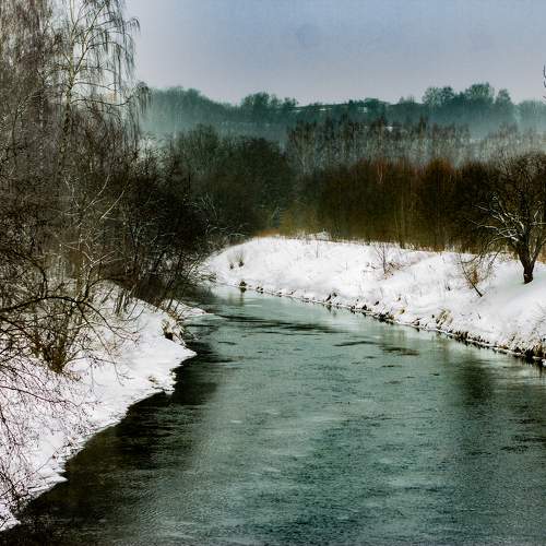 Photo #10012948