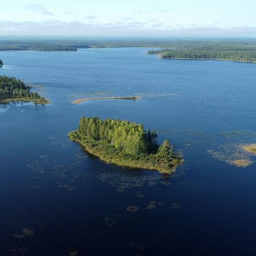 Photo #10012974