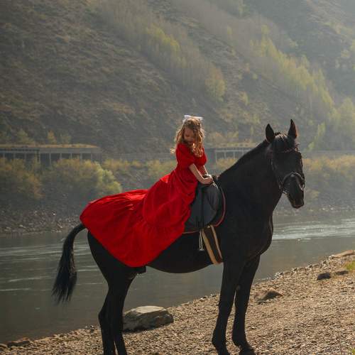 Photo #10013231