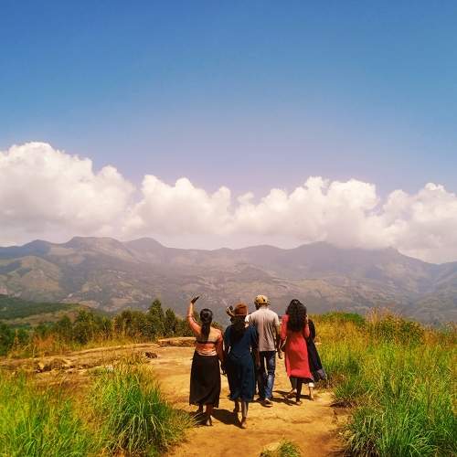 Photo #10013250