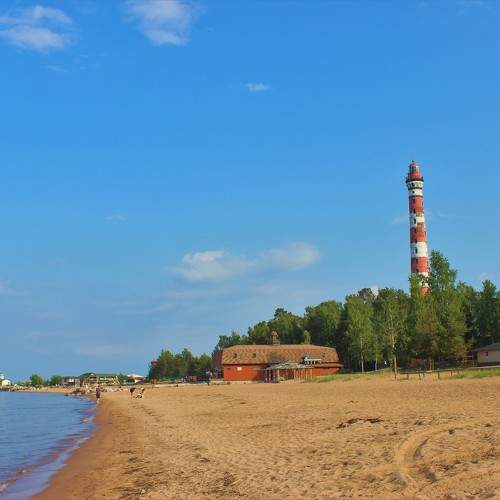 Photo #10013412