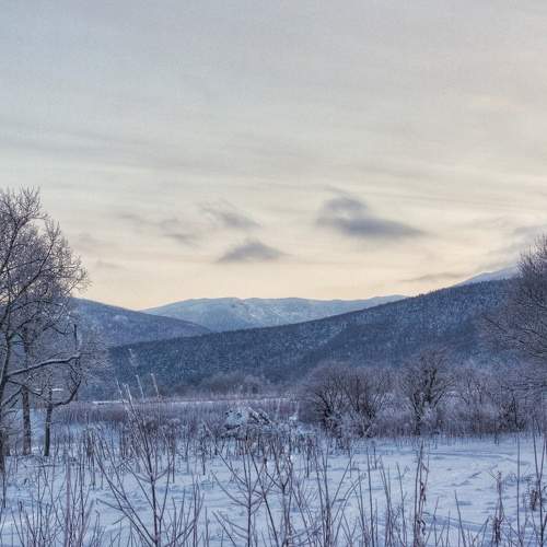 Photo #10013677