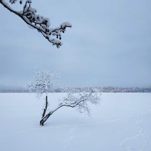 Photo #10013699