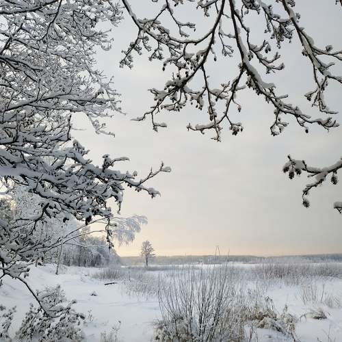 Photo #10013702