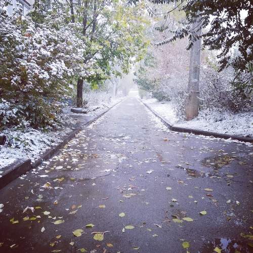 Photo #10013705