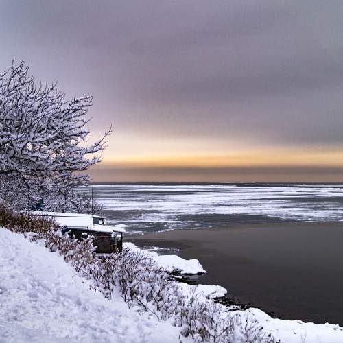 Photo #10013757
