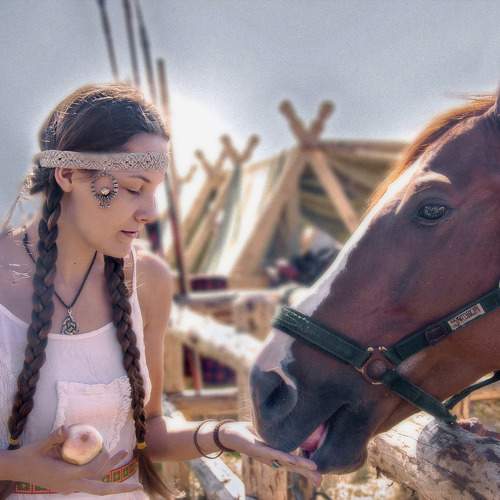 Photo #10013760