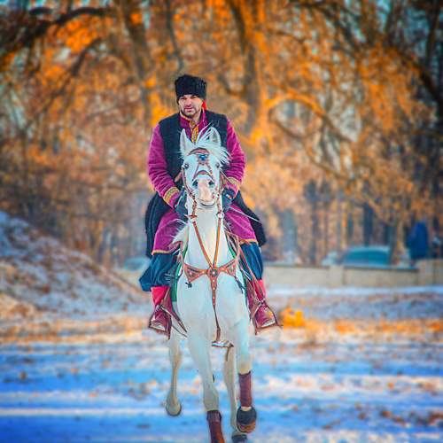 Photo #10013767