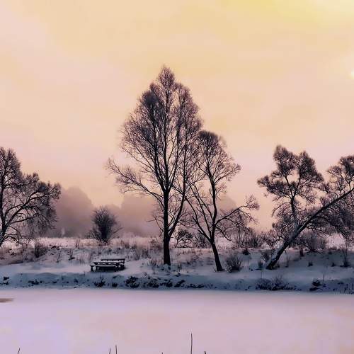 Photo #10013769