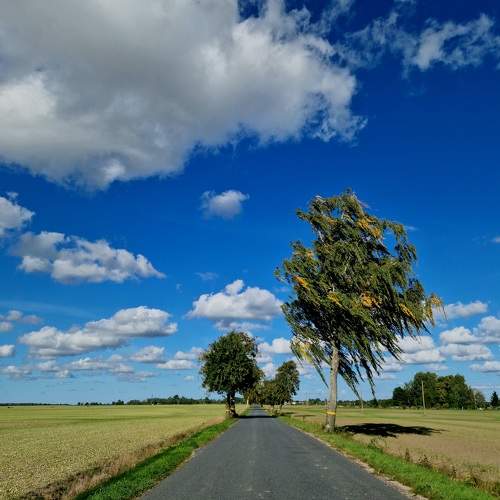 Photo #10013954