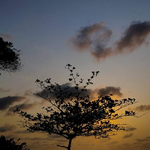 Photo #10013975