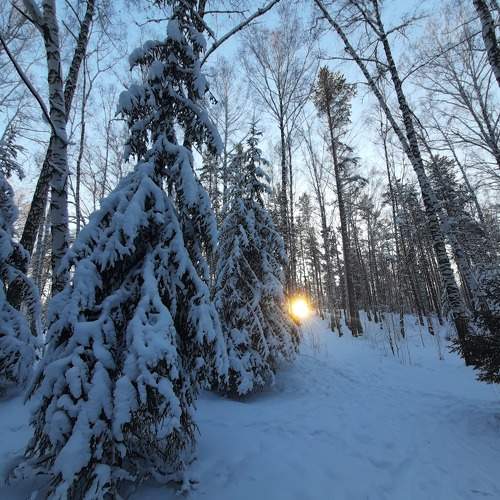 Photo #10013986