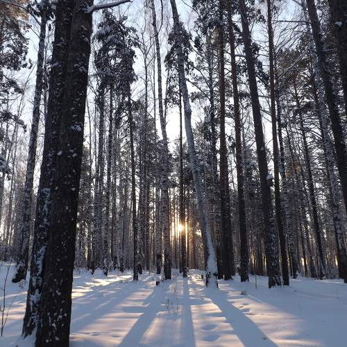 Photo #10013987