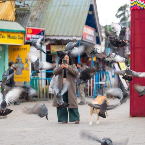Photo #10013994