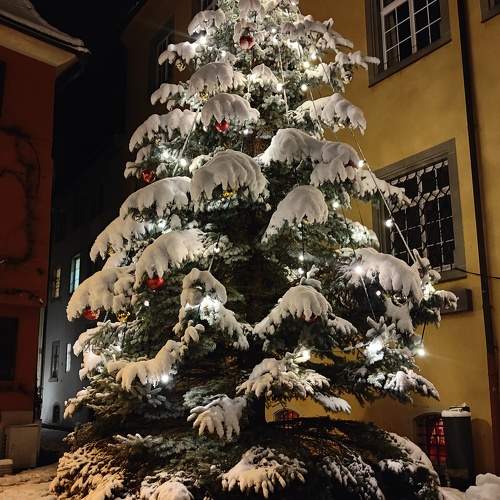 Photo #10014117