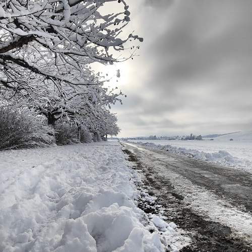 Photo #10014121