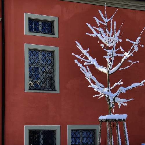 Photo #10014125