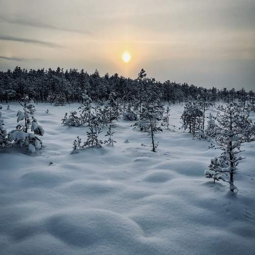 Photo #10014190