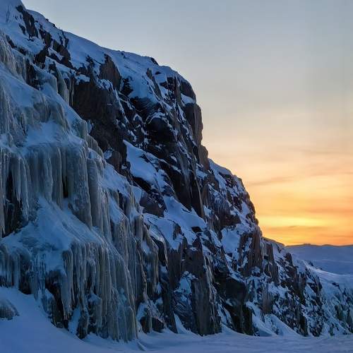 Photo #10014285
