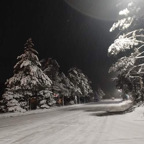 Photo #10014434