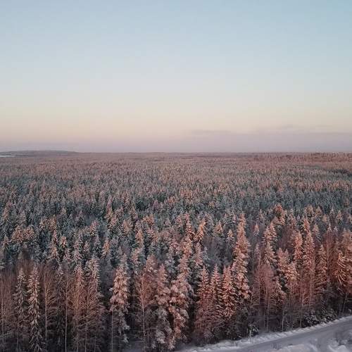 Photo #10014441