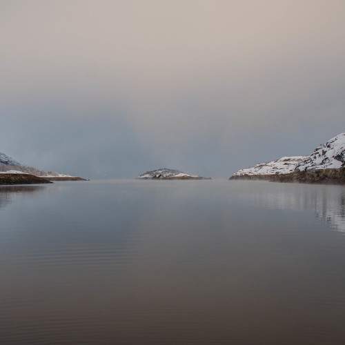 Photo #10014504
