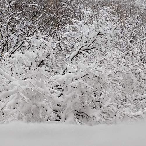 Photo #10014545