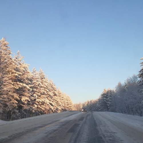 Photo #10014581