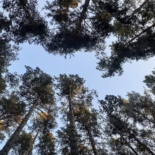 Photo #10014588