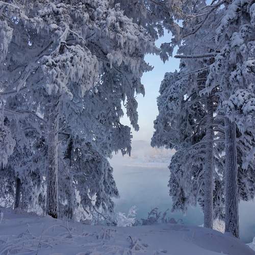 Photo #10014656