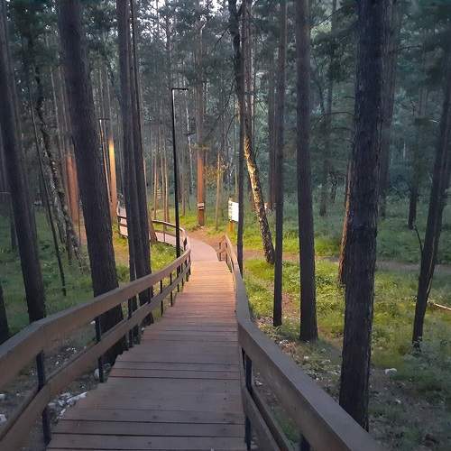 Photo #10014664