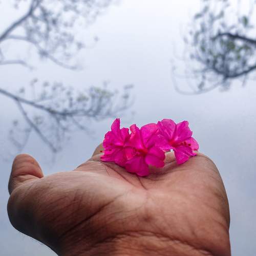 Photo #10014677