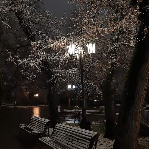 Photo #10014818