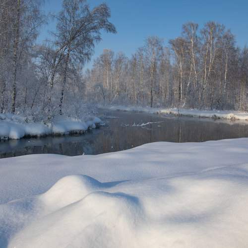 Photo #10014873