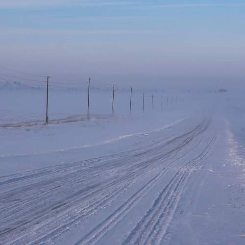 Photo #10014885